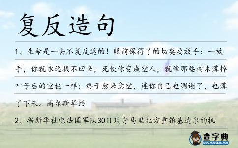 復(fù)反造句