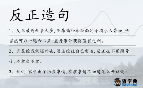 反正造句