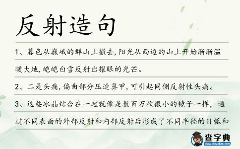 反射造句