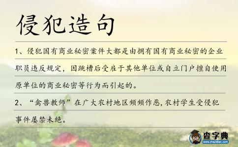 侵犯造句