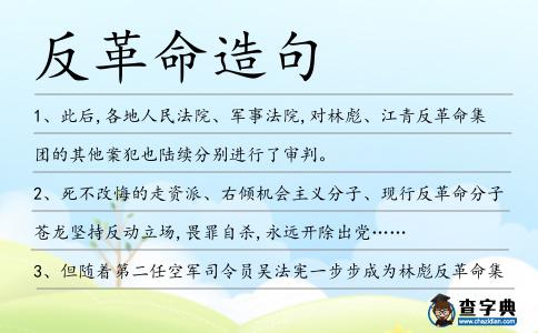 反革命造句