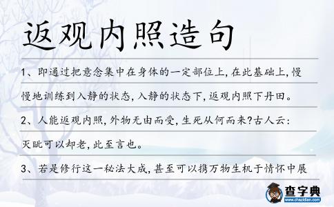 返觀內照造句