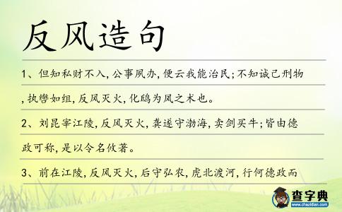 反風(fēng)造句