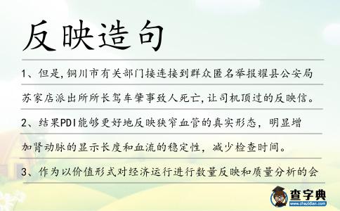 反映造句
