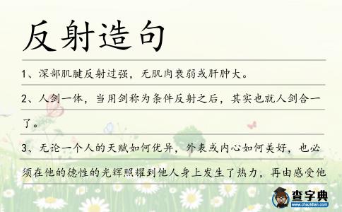 反射造句