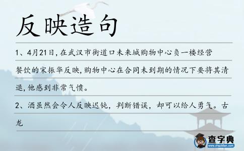 反映造句