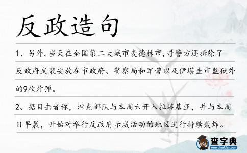 反政造句