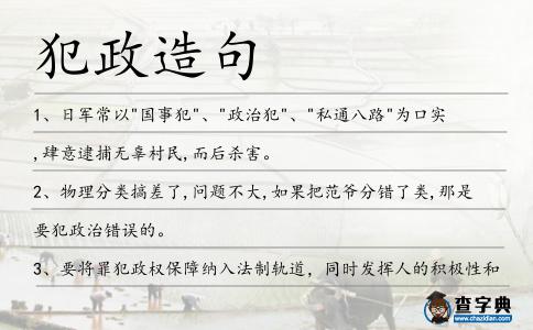 犯政造句