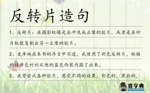 反轉(zhuǎn)片造句