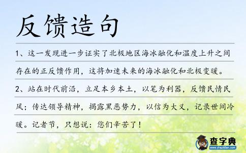 反饋造句