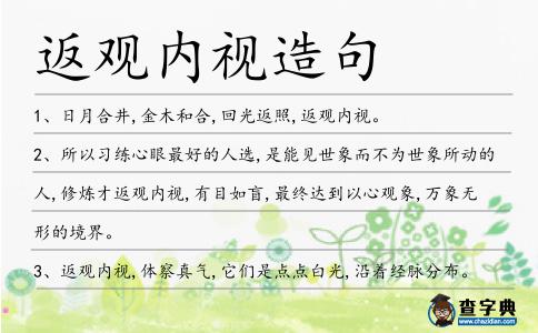 返觀內視造句