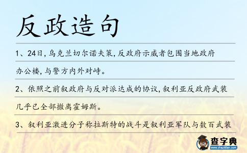 反政造句