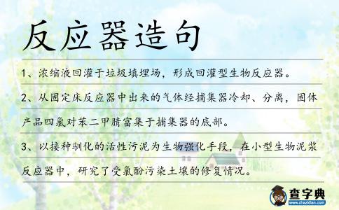 反應(yīng)器造句