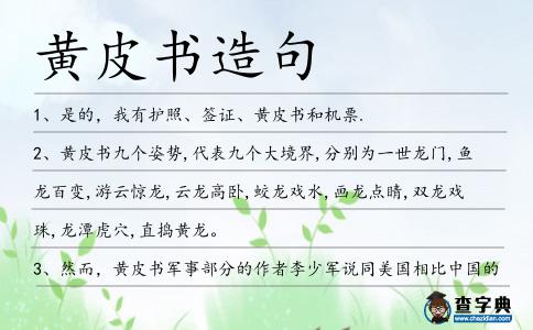 黃皮書造句