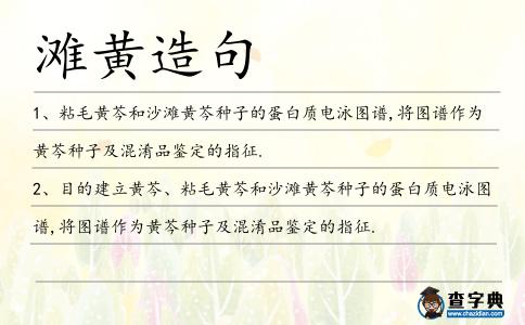 灘黃造句