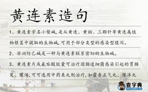黃連素造句