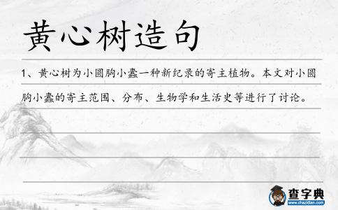 黃心樹造句
