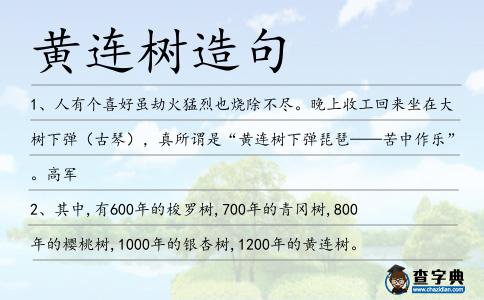 黃連樹造句