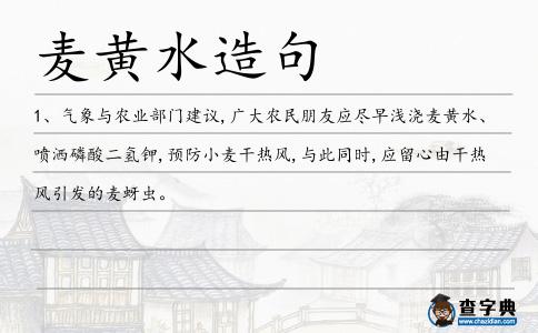 麥黃水造句