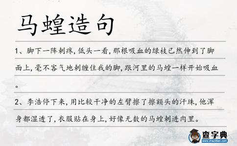 馬蝗造句