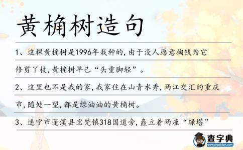 黃桷樹造句
