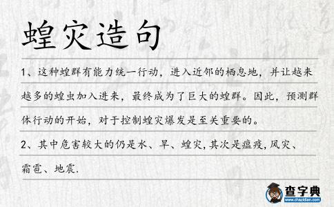 蝗災造句