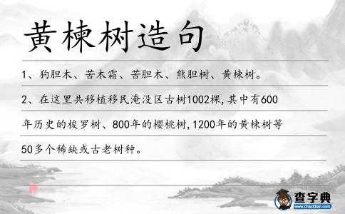 黃楝樹造句