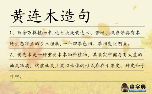 黃連木造句