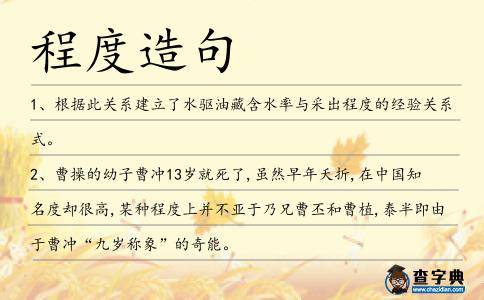 程度造句