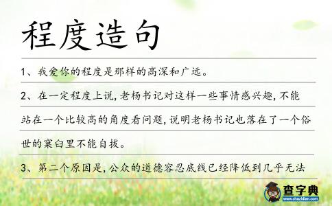 程度造句