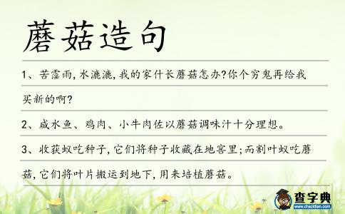蘑菇造句