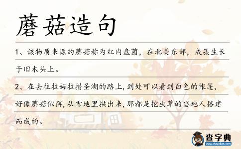 蘑菇造句