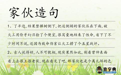 家伙造句