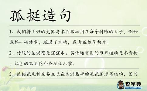 孤挺造句