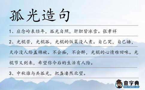 孤光造句