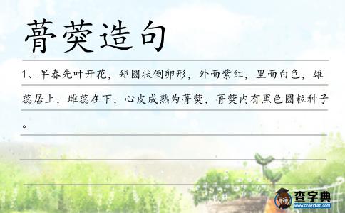 蓇葖造句