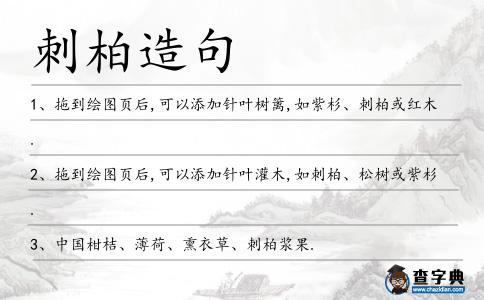 刺柏造句