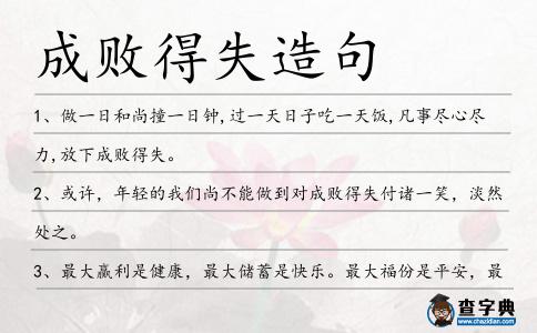 成敗得失造句