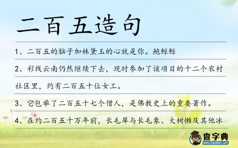 二百五造句
