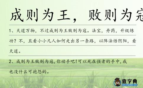成則為王,敗則為寇造句