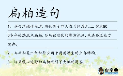 扁柏造句