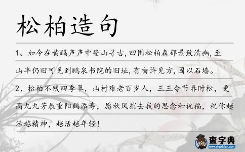 松柏造句