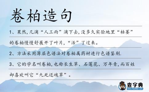 卷柏造句