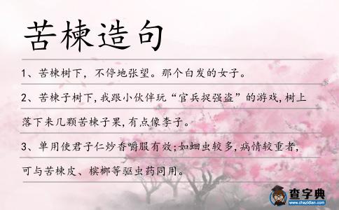 苦楝造句