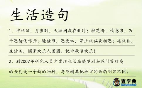 生活造句