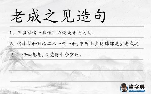老成之見造句