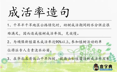 成活率造句