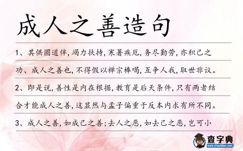 成人之善造句
