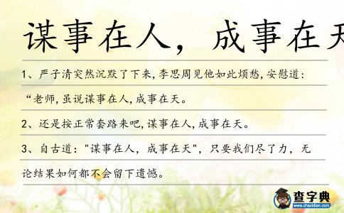 謀事在人，成事在天造句