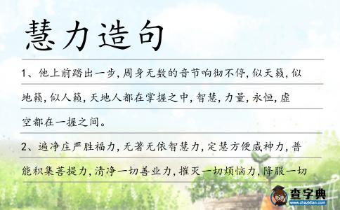 慧力造句